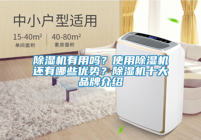 除濕機有用嗎？使用除濕機還有哪些優勢？除濕機十大品牌介紹