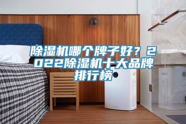 除濕機哪個牌子好?2022除濕機十大品牌排行榜