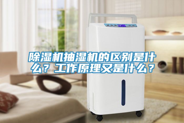 除濕機(jī)抽濕機(jī)的區(qū)別是什么？工作原理又是什么？