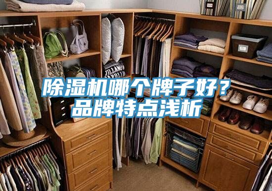 除濕機哪個牌子好?品牌特點淺析