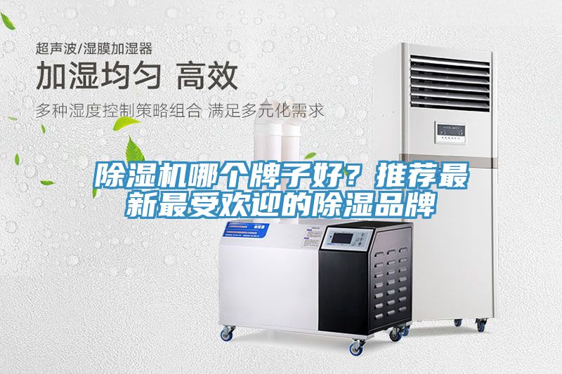 除濕機哪個牌子好?推薦最新最受歡迎的除濕品牌