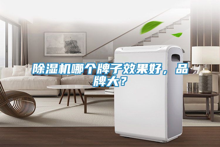 除濕機哪個牌子效果好，品牌大？