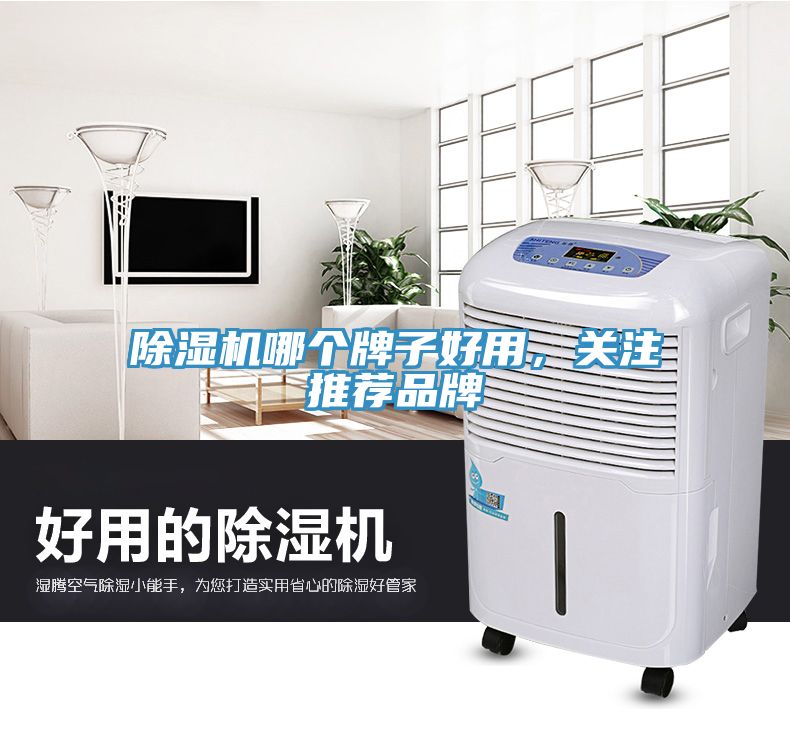 除濕機(jī)哪個(gè)牌子好用，關(guān)注推薦品牌