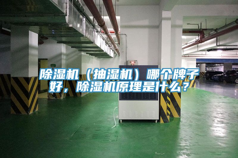 除濕機(抽濕機)哪個牌子好,除濕機原理是什么?