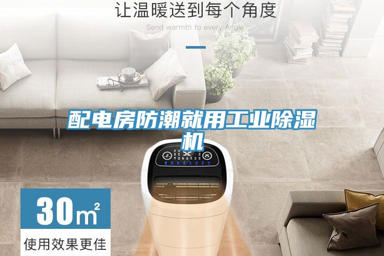 配電房防潮就用工業除濕機