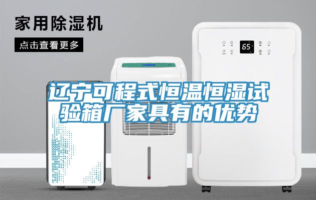 遼寧可程式恒溫恒濕試驗(yàn)箱廠家具有的優(yōu)勢(shì)