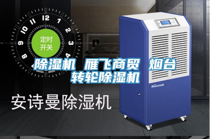 除濕機 雁飛商貿 煙臺轉輪除濕機
