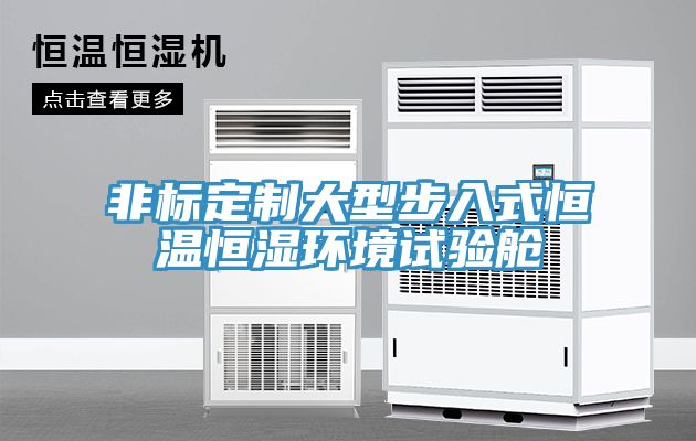 非標(biāo)定制大型步入式恒溫恒濕環(huán)境試驗艙