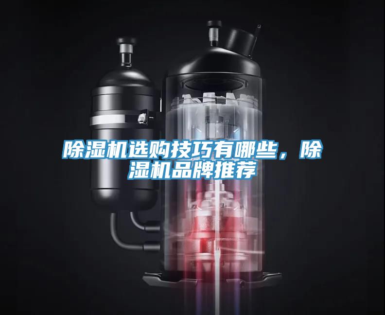 除濕機選購技巧有哪些,除濕機品牌推薦