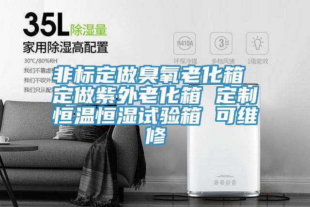 非標(biāo)定做臭氧老化箱 定做紫外老化箱 定制恒溫恒濕試驗箱 可維修