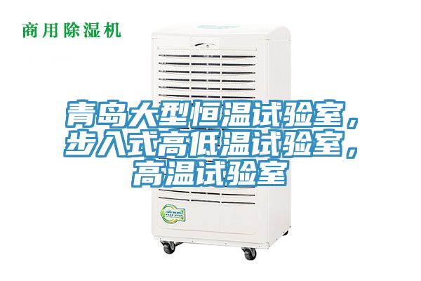 青島大型恒溫試驗室，步入式高低溫試驗室，高溫試驗室