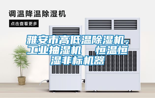 雅安市高低溫除濕機，工業抽濕機  恒溫恒濕非標機器
