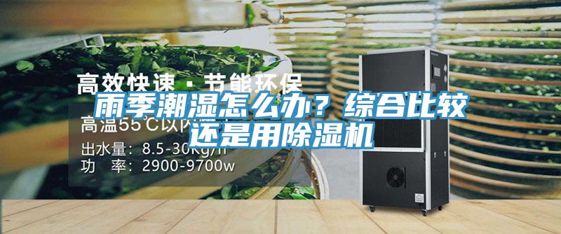 雨季潮濕怎么辦？綜合比較還是用除濕機