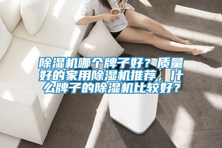 除濕機哪個牌子好？質量好的家用除濕機推薦，什么牌子的除濕機比較好？