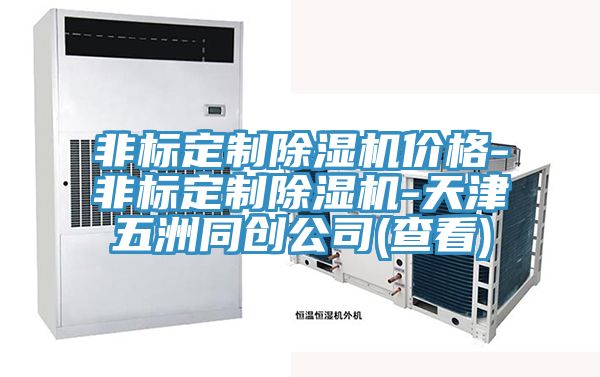 非標(biāo)定制除濕機價格-非標(biāo)定制除濕機-天津五洲同創(chuàng)公司(查看)