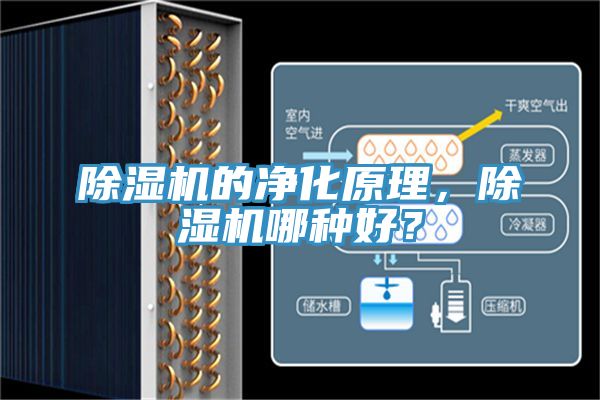 除濕機的凈化原理,除濕機哪種好?
