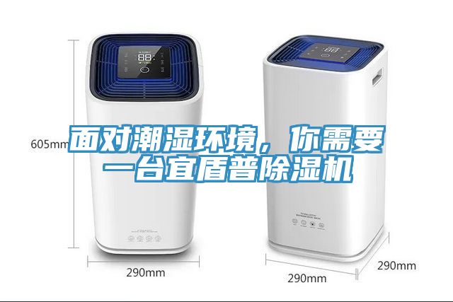 面對潮濕環境，你需要一臺宜盾普除濕機