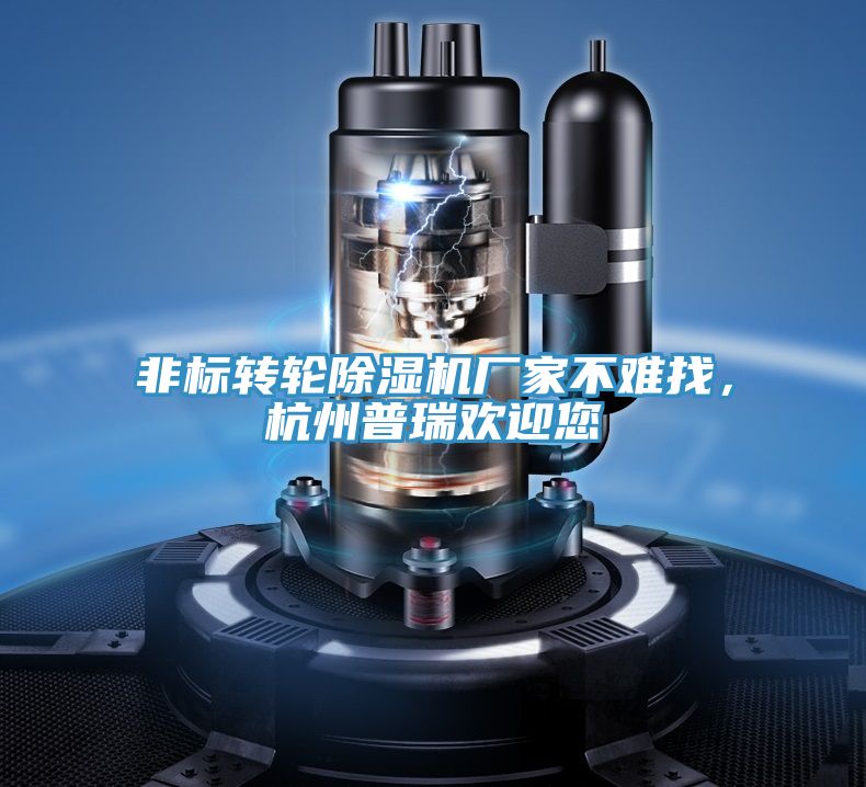 非標(biāo)轉(zhuǎn)輪除濕機廠家不難找，杭州普瑞歡迎您