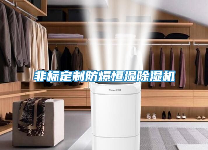 非標(biāo)定制防爆恒濕除濕機