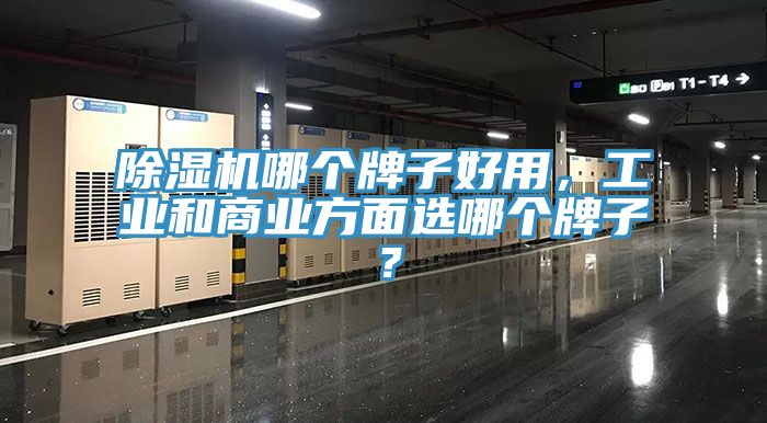 除濕機哪個牌子好用，工業和商業方面選哪個牌子？