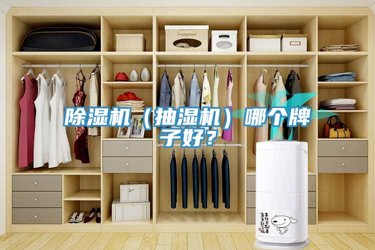 除濕機(抽濕機)哪個牌子好?