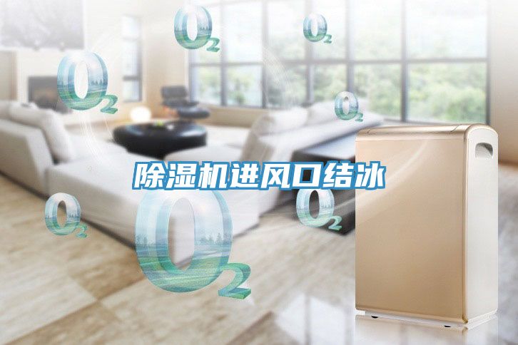 除濕機進風口結冰