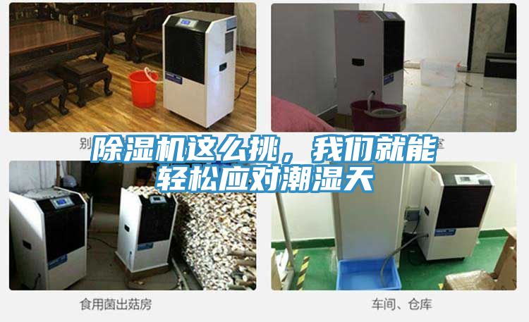 除濕機這么挑，我們就能輕松應對潮濕天