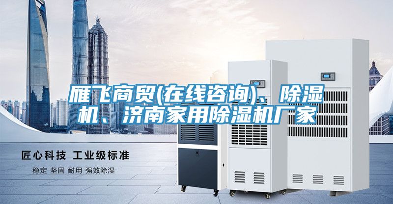 雁飛商貿(mào)(在線咨詢)、除濕機、濟南家用除濕機廠家