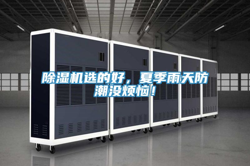 除濕機選的好，夏季雨天防潮沒煩惱！