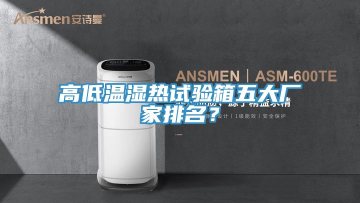 高低溫濕熱試驗(yàn)箱五大廠家排名?