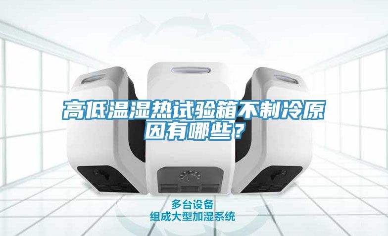 高低溫濕熱試驗(yàn)箱不制冷原因有哪些?
