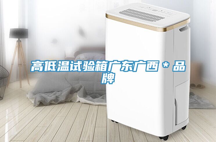 高低溫試驗箱廣東廣西*品牌