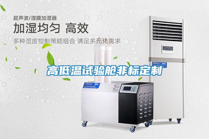 高低溫試驗艙非標(biāo)定制