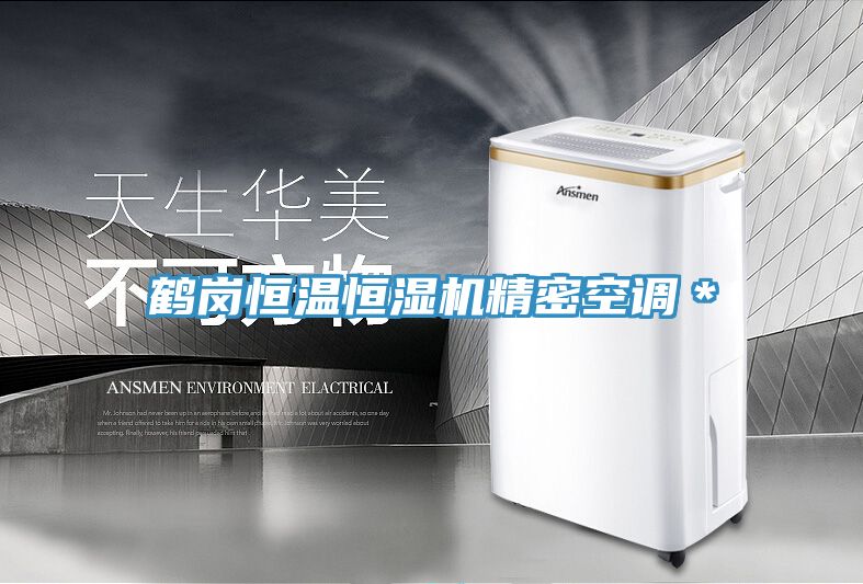 鶴崗恒溫恒濕機精密空調*