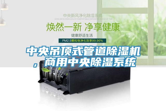 中央吊頂式管道除濕機，商用中央除濕系統