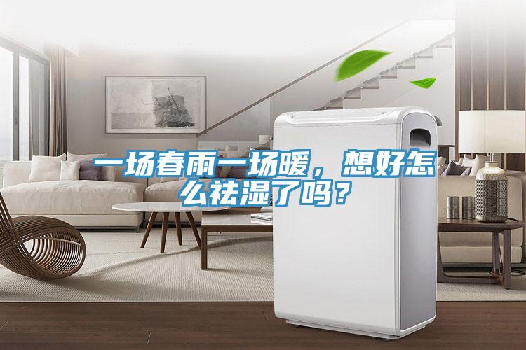一場春雨一場暖，想好怎么祛濕了嗎？