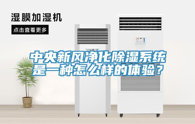 中央新風凈化除濕系統是一種怎么樣的體驗？