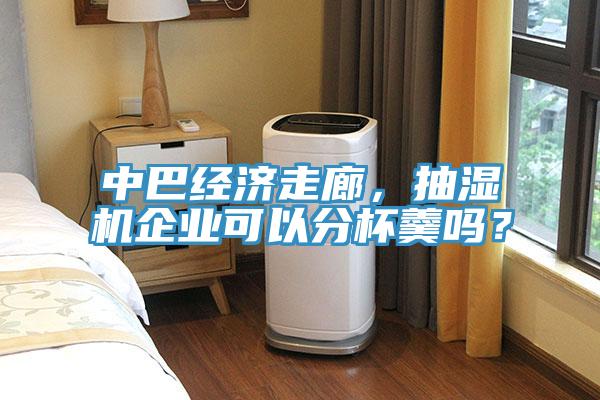 中巴經濟走廊，抽濕機企業可以分杯羹嗎？