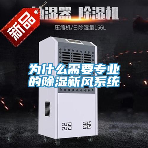為什么需要專(zhuān)業(yè)的除濕新風(fēng)系統(tǒng)