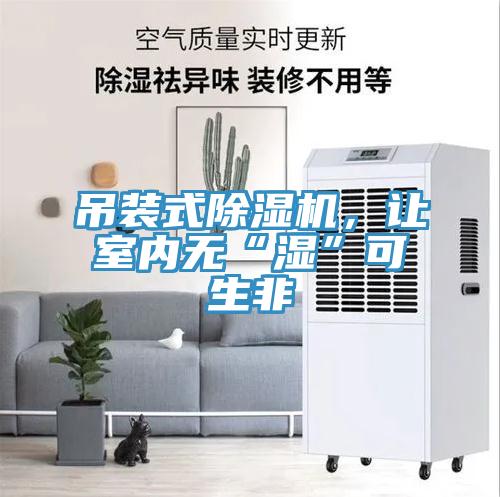 吊裝式除濕機，讓室內無“濕”可生非