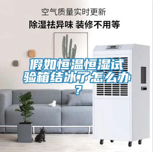 假如恒溫恒濕試驗箱結(jié)冰了怎么辦？