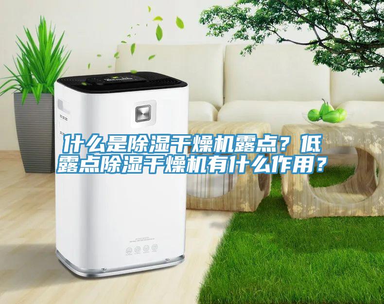 什么是除濕干燥機露點？低露點除濕干燥機有什么作用？