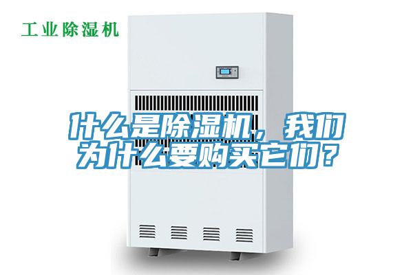 什么是除濕機，我們為什么要購買它們？