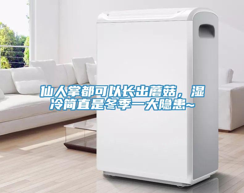 仙人掌都可以長(zhǎng)出蘑菇，濕冷簡(jiǎn)直是冬季一大隱患~