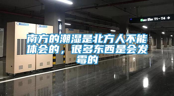 南方的潮濕是北方人不能體會(huì)的，很多東西是會(huì)發(fā)霉的