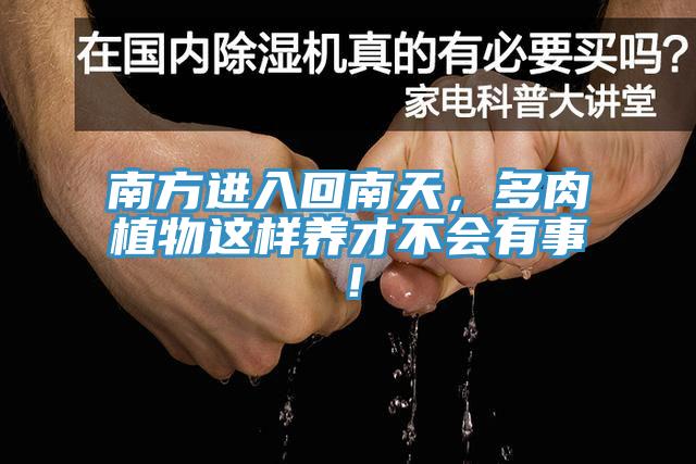 南方進(jìn)入回南天，多肉植物這樣養(yǎng)才不會(huì)有事！