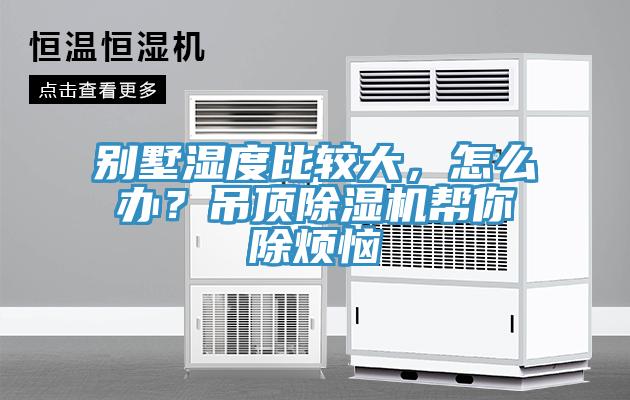 別墅濕度比較大，怎么辦？吊頂除濕機幫你除煩惱