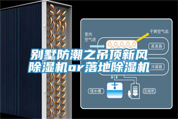 別墅防潮之吊頂新風除濕機or落地除濕機