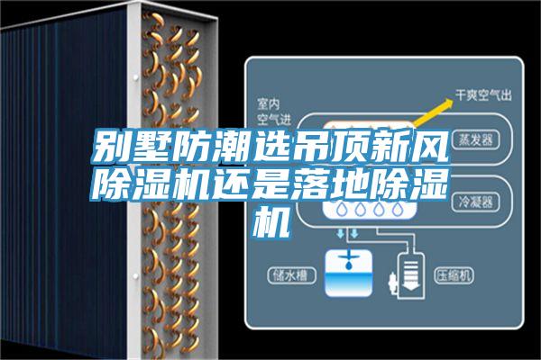 別墅防潮選吊頂新風除濕機還是落地除濕機