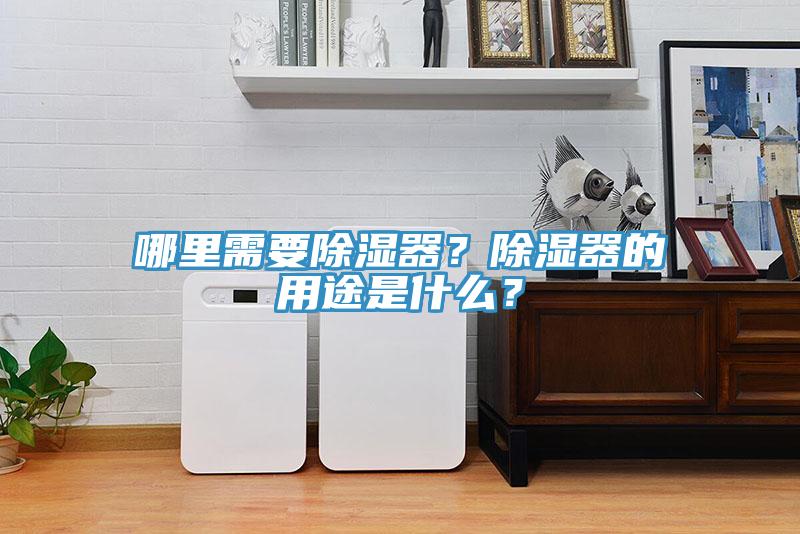 哪里需要除濕器？除濕器的用途是什么？